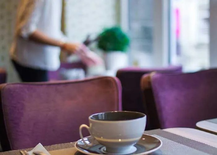 卡纳伊酒店 3* 里尔